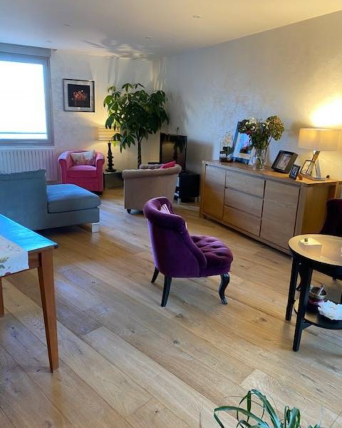 Parquet Albi LAmett salon Lyon en région Auvergne Rhône Alpes