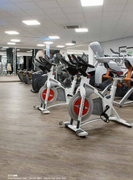 Sol Vinyle  imitation bois à Lyon