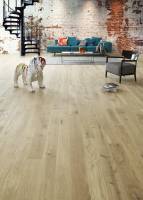 Notre zone d'activité pour ce service Decibois showroom spécialisé en menuiserie d'intérieur Dardilly 69072 dans l'Ouest lyonnais