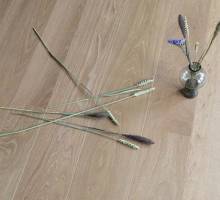 Nos prestations sur le secteur de Genève Suisse