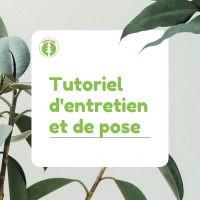 Nos prestations sur le secteur de Grenoble en Isère